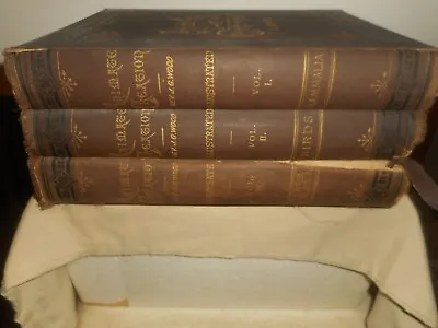 Antique 1885 Books Animate Creation Illustrated Books J. G. Wood Selmar Hess 1-3 • $295