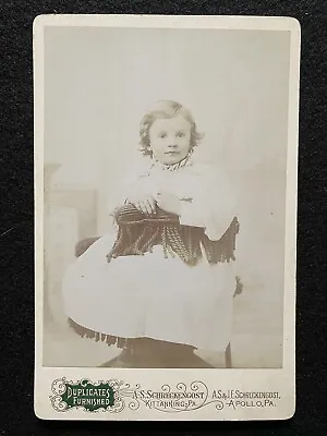 Antique Apollo Pennsylvania PA Cute Child Cabinet Photo Card • $9.95