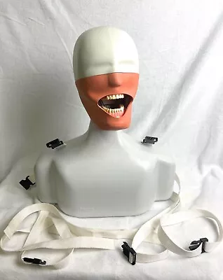 Frasaco Dental Manikin - Patient Simulator - Life Size Torso For Dental Chair • $499.99