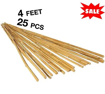 $44.98 • Buy 25 Bamboo Trellis Stakes 4' For Garden Plants Support Tomatoes Peas Plant Sticks
