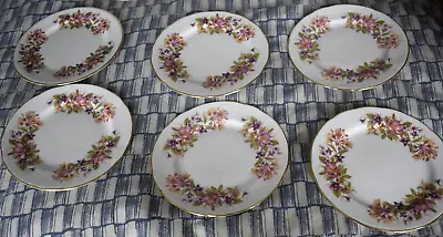 6x Colclough Wayside Fine Bone China 16cm Biscuit Side Plates • £5.99