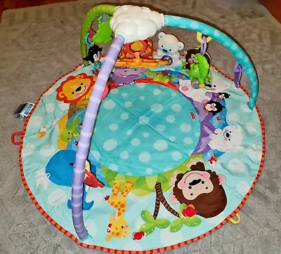 Fisher Price Precious Planet Deluxe Musical Baby Activity Gym Great Condition • £19.99