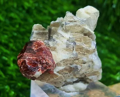 139 Carat Garnet Rare Crystal On Muscovite Minerals Specimen From Shigar Valley • $1.99