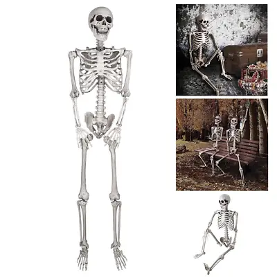 3ft/90cm Halloween Party Decoration Full Life Size Props Poseable Human Skeleton • $21.99