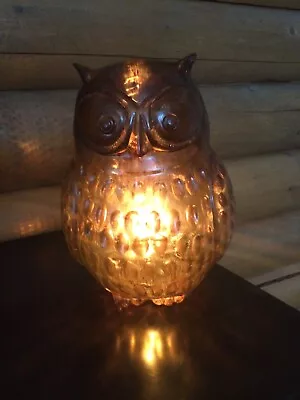 Vintage Lucite Plastic Brown Owl Lamp • $60