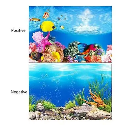 $12.84 • Buy Aquarium Poster Sticker Fish Tank 3D Background Double-sided Sticker Picture