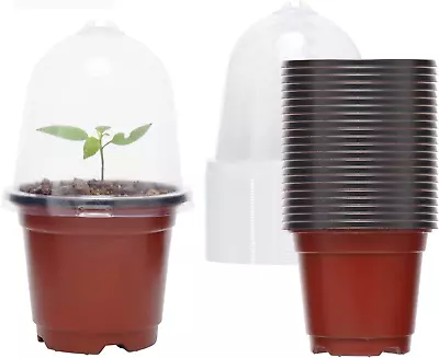 Plant Nursery Pots With Humidity Dome Reusable Seed Starter Pots With Drainage  • $22.49