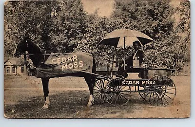 Postcard Ohio Massillon Cedar Moss Horse Drawn Delivery Wagon • $20