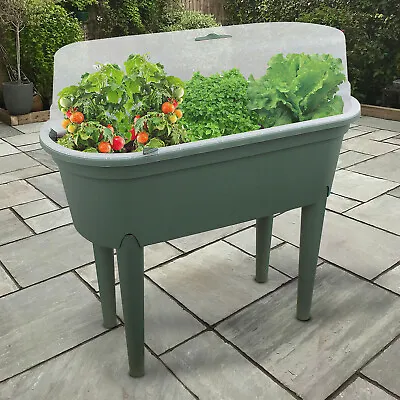 £27.99 • Buy Planter Box Seeding Table Bed Mini Greenhouse Flower Plant Indoor Outdoor Garden