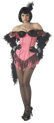 Womens Pink Black Cabaret Artist Burlesque Showgirl Sexy Adult Costume Large • $19.99