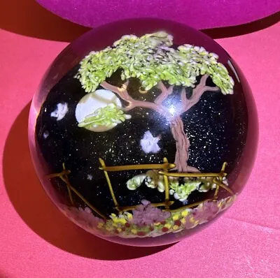 Mayauel Ward Midnight Tree Paperweight Signed & Numbered • $499