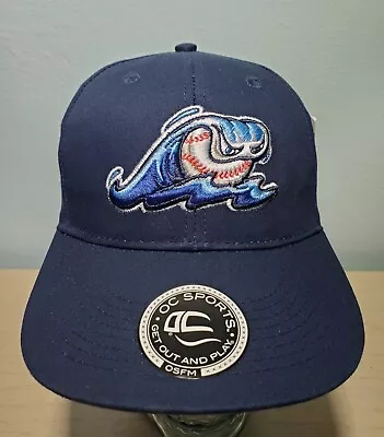 West Michigan Whitecaps Minor League Baseball Hat MiLB Cap Brand NEW • $9.95