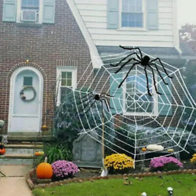 Big Stretchy Spider Web Halloween Cobweb Party Home Decoration Haunted House • £5.83