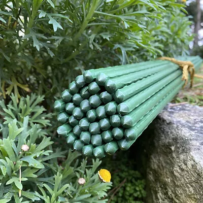 £16.99 • Buy Set Of 40 Plastic Coated Metal Garden Plant Support Sticks (80cm)