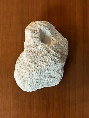 White Coral Piece • $6
