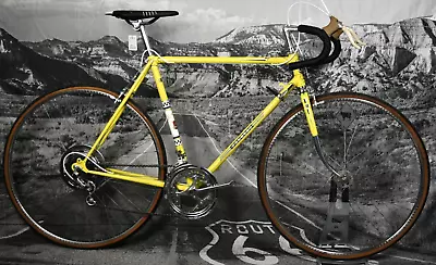 Vintage Peugeot Uo-8 Record Du Monde Size L 57 Cm 10 Speed Steel • $719.10