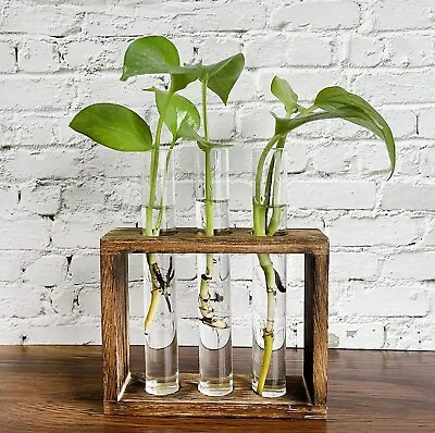Wall Hanging Glass Vase In Ligh Wood Stand Rack Tabletop Terrarium • £8.50