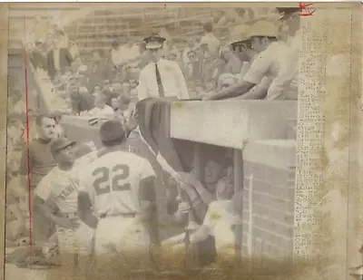 1969 10/1 Baseball Wire Photo Chicago Cubs New York Mets Bleacher Bums Wrigley • $24.99