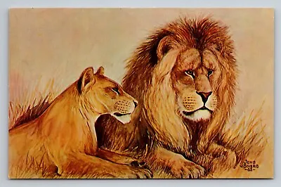 Lions Henry Vilas Park Zoo Madison Wisconsin Vintage Unposted Postcard • $10