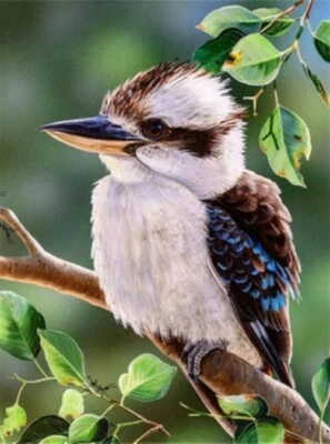 $17.95 • Buy 5D Diamond Painting Kit Full Round Drill Kookaburra In Tree 30X20 Craft Art DYI
