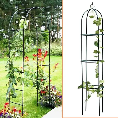 Outdoor Garden Metal Tubular Arch Frame Climbing Plant Support Obelisk Trellis • £21.85