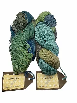 Araucania Ulna Multy Cotton Yarn 2 Skeins 20cm 100g Colour 706 • $25