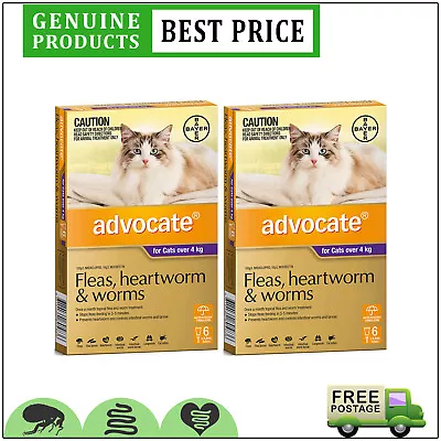 ADVOCATE Monthly Heartworm Flea Control For Cats Over 4 Kg PURPLE 12 Doses • $165.92