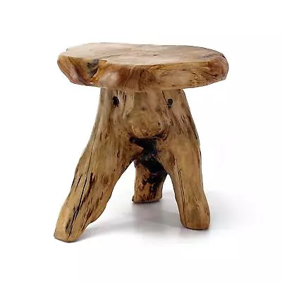 Tree Stump Stool Live Edge Natural Edge Side Table Plant Stand Nightstand Mushro • $100.72