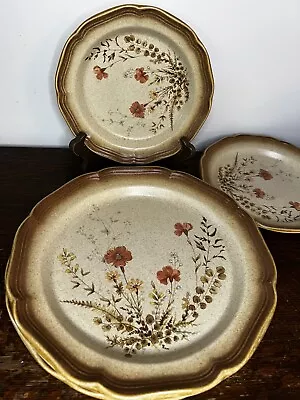 4 Pc Vtg Mikasa Whole Wheat Jardiniere Lot E8016 2 Dinner Plates 2 Salad Plates • $35.86