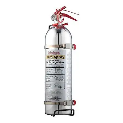 Lifeline Polished Hand Held MSA Approved Foam Fire Extinguisher - 2.4 Ltr • £124.68