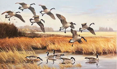 Maynard Reece S/N Canadian Geese  Print The Quiet Place W/ Cert (31.25 X19.25 ) • $125