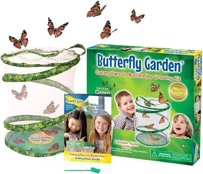 £22.57 • Buy Butterfly Garden Grow Your Own Butterflies Educational Kit For Kids Boy Girl New