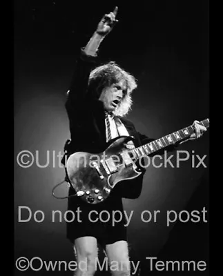 $21.95 • Buy ANGUS YOUNG PHOTO ACDC AC DC 8x10 Inch Concert Photo By Marty Temme 2A Gibson SG
