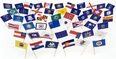 100 State Toothpick Flags 2 Small Mini State Flag Cupcake Flags Per State • $5.95