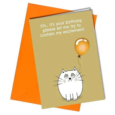 #467 Contain My Excitement Birthday Card | Funny Grumpy Cat | Balloon | Friend • £2.99