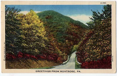 1952 Greetings From Montrose PA Postcard Susquehanna County Highway Linen Era • $9.99