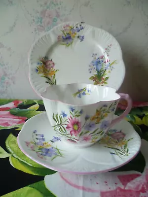 £18 • Buy Vintage Shelley Dainty Shape China Trio Tea Cup Saucer Plate Wild Flowers 13668