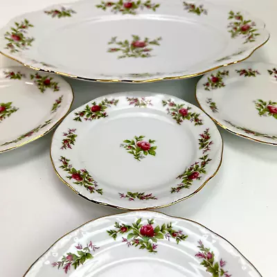 Plate Set Moss Rose 14  Oval Platter 6  Bread Plate X 4 Johann Haviland Bavaria • $29