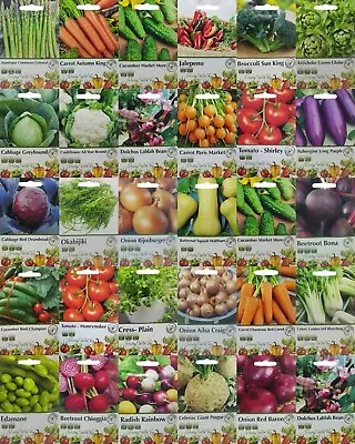 Pictorial Vegetable Seeds Carrot Pumpkin Cabbage TOMATO SWEETCORN HERBS PEA  • £1.39