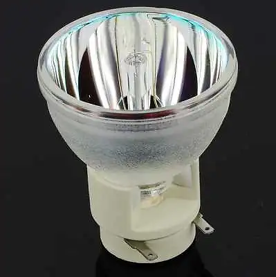 New Projector Lamp Bulb For Acer S1200 Ec.j8000.001 H5360 H5360bd P1303w P1270 • $29.88