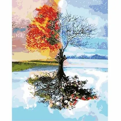 DIY  Four Seasons Tree  Painting By Numbers Canvas-Paints Brushes  Incl • £4.99