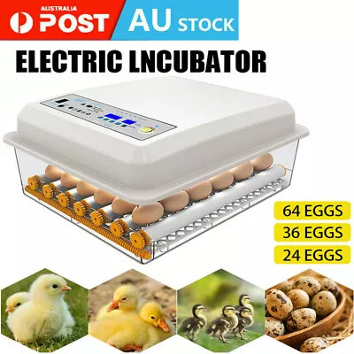 64 Eggs Digital Egg Incubator LED Fully Automatic Turning Chicken Duck Poultry • $59.95