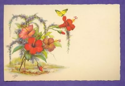 E G Barnhill Florida Hibiscus Flowers Butterfly 1930's Art Print NOS Saxony FL • $0.99