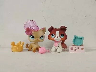 2pcs/lot Littlest Pet Shop Toys LPS Cat Dog #816#1542 W/6pcs Accessories For Kid • £10.79