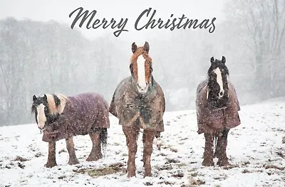 CHARITY Horses In Snow Bilingual Welsh/English Christmas Cards 10 PacK • £4.50