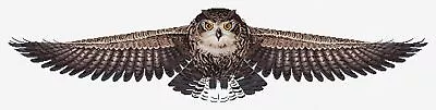 Cross Stitch Kit Luca-S - The Owl CD005 • $71.50