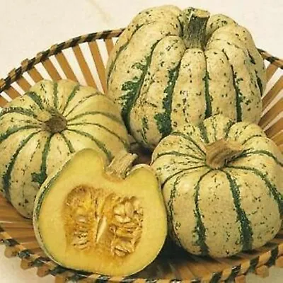 10 Sweet Dumpling Squash Seeds - Free US Ship - Delicious !! Grown In USA • £2.41