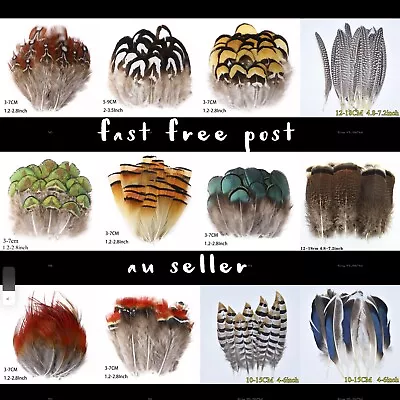 40 Types Natural Feathers Peacock Rooster Goose Guinea Duck Pheasant DIY Craft • $7.95