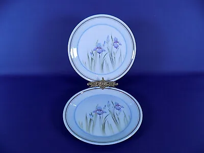 £14 • Buy Royal Doulton Lambethware Blue Iris Salad Plates X 2