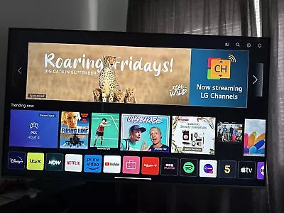 £450 • Buy LG 65 Inch UHD 4k Smart Tv 65UN81